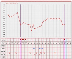 TemperaturaBasale.it Immagine di esempio del tool TemperaturaBasale.it