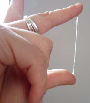 Il muco cervicale fertile forma facilmente lunghi filamenti